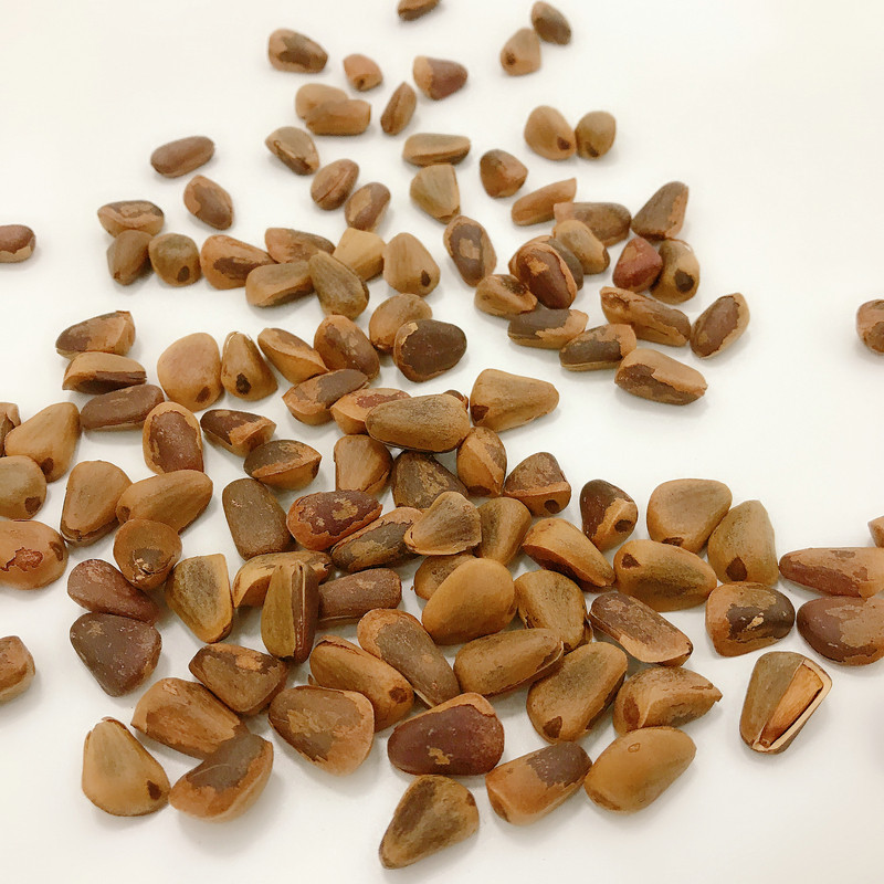 Wild red pine nuts Great grain Northeastern Changbai Mountain terrosborn with pine seeds fresh 500g