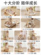 Ten-In-One Baby Fitness Stand with Pedal Piano, Baby Toy, Newborn Baby Meeting Gift, 0 to 6 Months