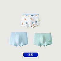 Ледяное сине-бактериальное обновление