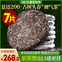 Puer Tea raw tea cake (2021 New Year Spring Tea 7 whole mention) Jingmai Yinhao Ancient Tree Tea 2499g Collection