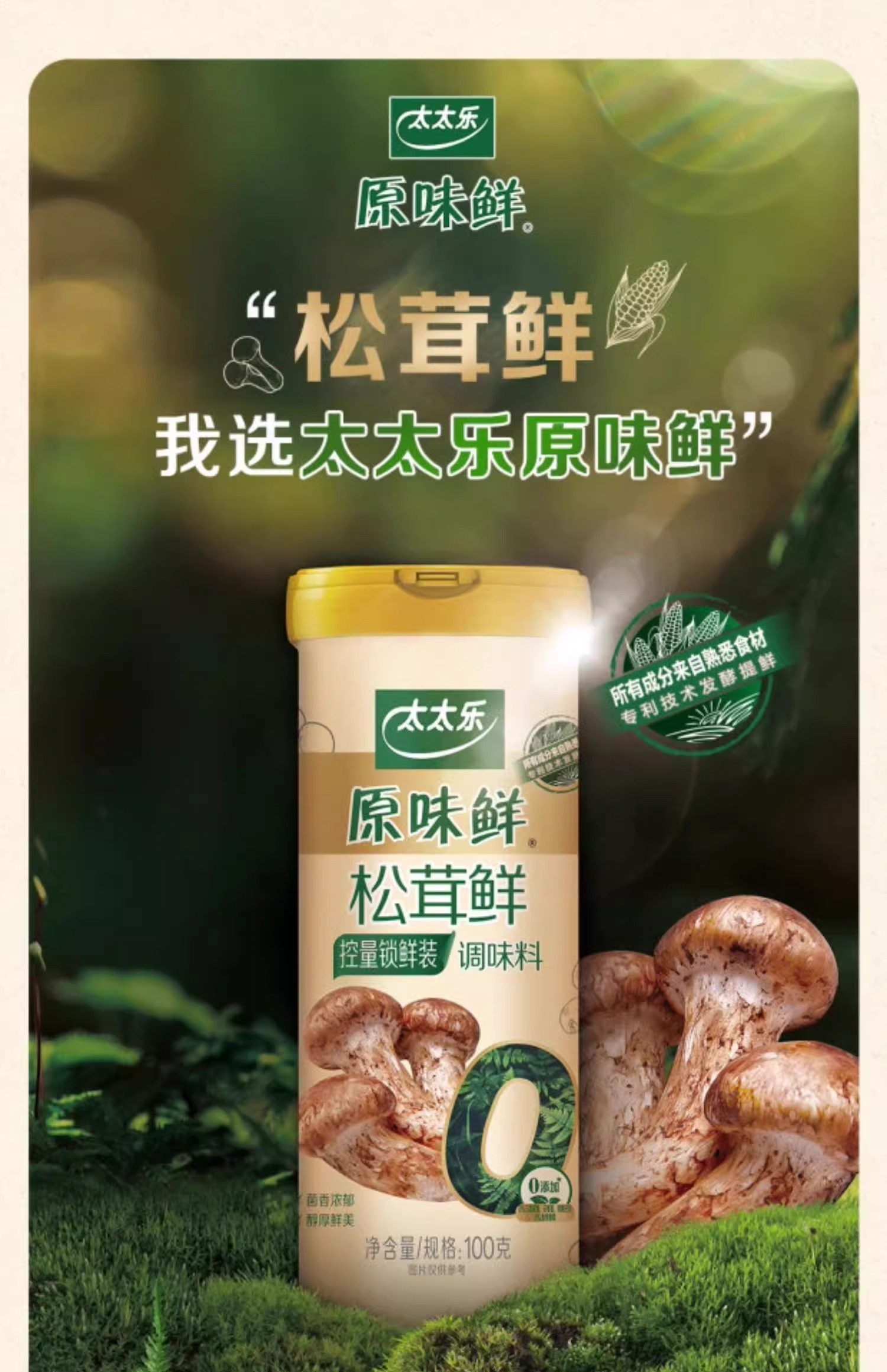 太太乐原味鲜松茸鲜调味料100g/罐0添加可代替鸡精调味菌菇粉— 亚洲食品