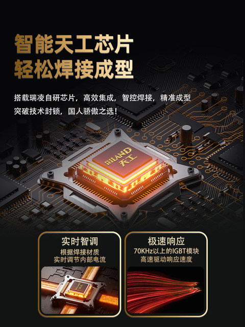 Ruiling Chip Welding Machine 220V Household 380V Industrial Grade Small Welding Machine Pure Copper Dual Voltage Top Ten Brands