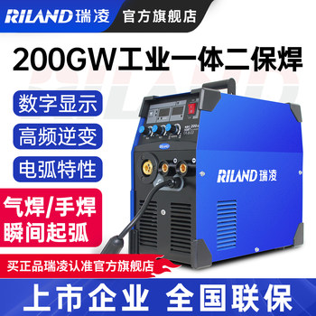 Ruiling Two-Gas Shielded Welding Machine Nbc200/250/300 Integrated Carbon Dioxide Gas Shielded Welding Machine 220V/380V