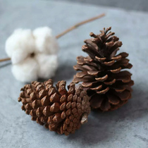 Kindergarten handmade creative diy forest material Christmas tree hanging decoration natural primary color pine cone bag 15
