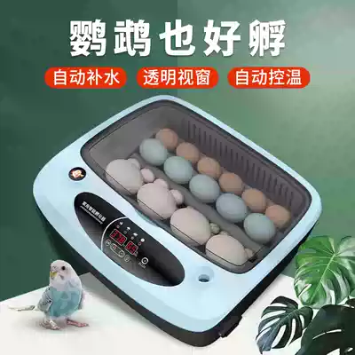 Incubator Small household automatic intelligent egg hatcher Parrot quail pigeon bird egg chick constant temperature hatching box