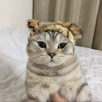 Я тигр