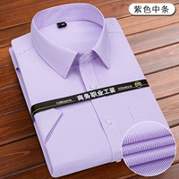 Фиолетовый середина -стрип (короткий рукав)