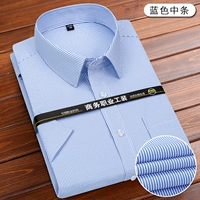 Синяя средняя -стрип (короткий рукав)