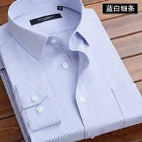 Синие и белые тонкие полоски (длинные рукава) [есть карманы]