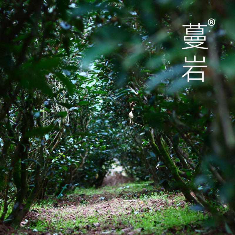 蔓岩茶叶的LOGO
