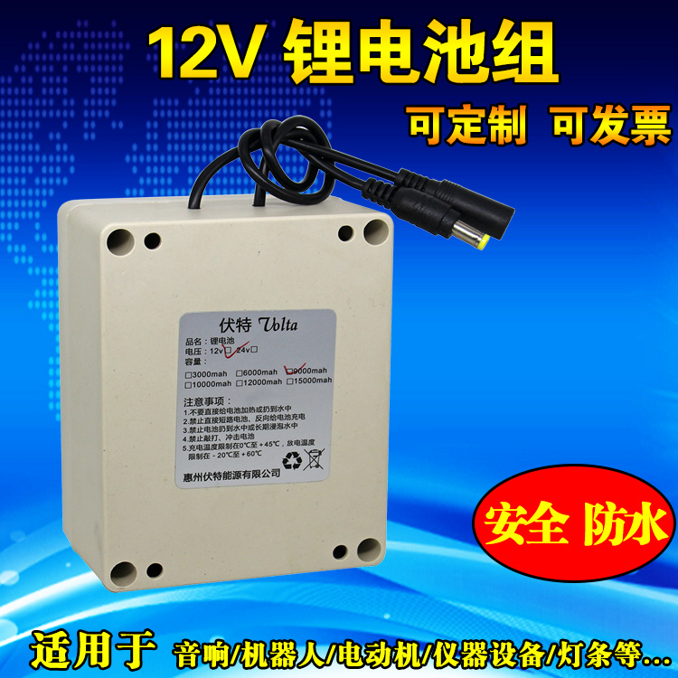 12V lithium battery shaking sound hot inflatable panda inflatable doll using battery charger