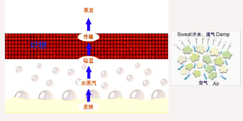 Tenue de cyclisme femme TOP CYCLING - Ref 2230902 Image 15