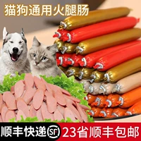 Собака Хэм Сауса целая коробка ПЭТ -кошка закуски плюшевая золотая колбаса для волос маленькая собака ест кальциевую добавку без соли