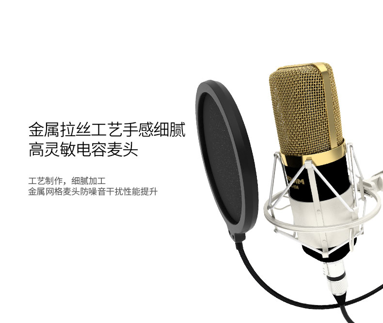 Âm thanh quyến rũ MS-3 màng ngưng tụ lớn micro mạng máy tính YY ghi âm hát hét lúa mì thiết bị phát sóng trực tiếp mic at2020