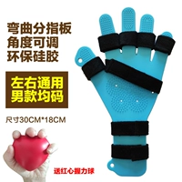 Мужское регулируемое отделение деления (среднее количество взрослых левое и справа)