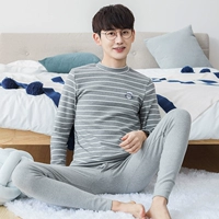 31206-Hemp Grey Strip