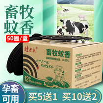 12-hour animal husbandry mosquito coils flies mosquito coils special mosquito incense outdoor pig farms wild animal incense