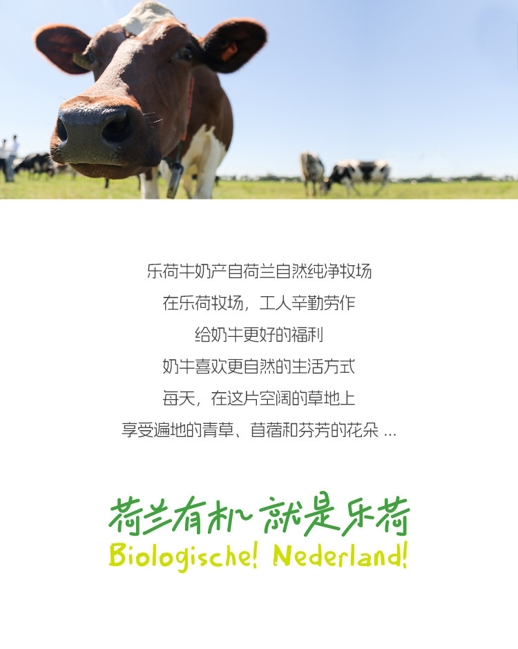 安享好物 安享A级黄油-乐荷有机 无盐 动物黄油