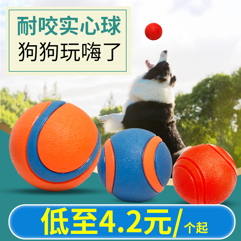 Pet dog toy bite-resistant molar real heartbeat jump ball border collie Labrador dog training dog special rope ball