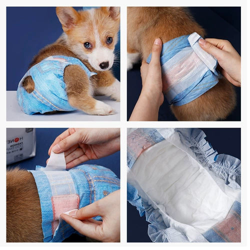 Подгузник для подгузников по медовому убору Физиологические штаны Физиологические штаны Тедди моча не намочить санитарную салфетку, киска менструальные брюки.