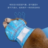 Подгузник для подгузников по медовому убору Физиологические штаны Физиологические штаны Тедди моча не намочить санитарную салфетку, киска менструальные брюки.