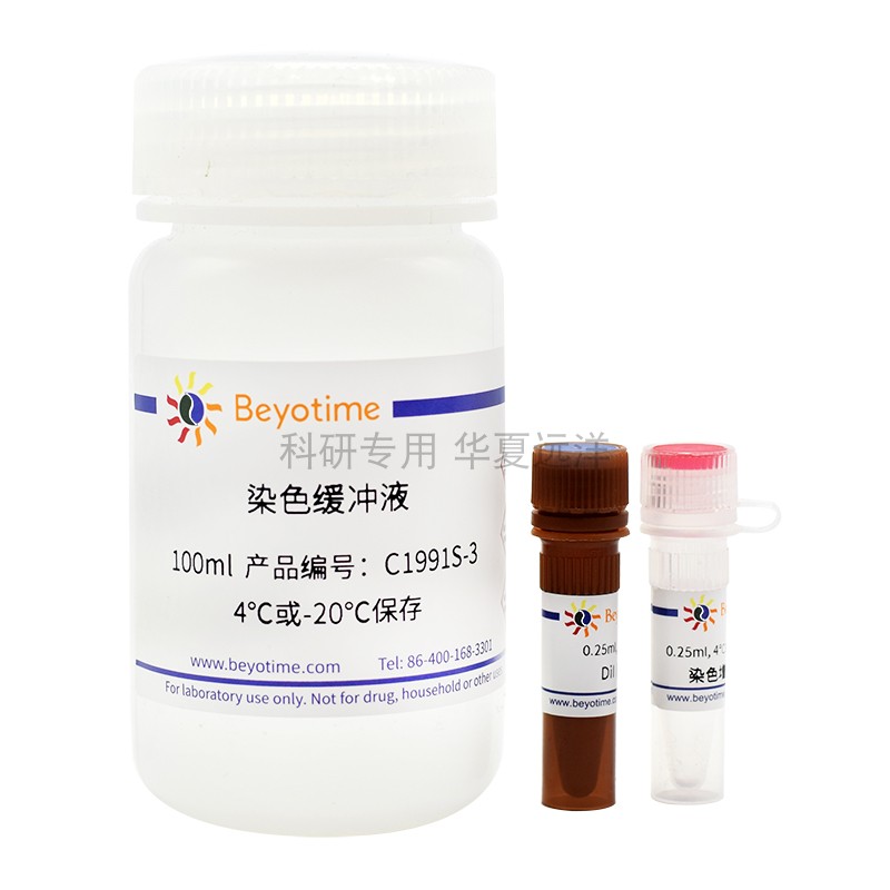 C1991S 细胞膜红色荧光染色试剂盒(DiI) 200-1000次