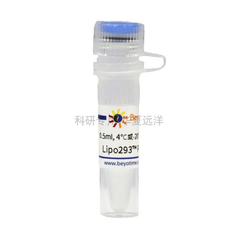C0522 Lipo293? Plus转染试剂 碧云天