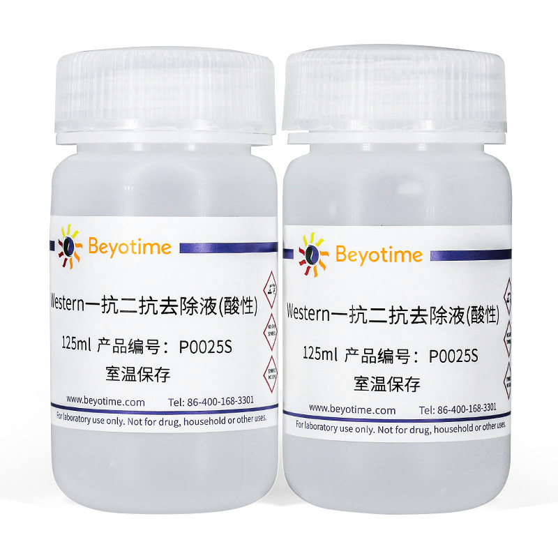 P0025S Western一抗二抗去除液(酸性) 250ml 碧云天
