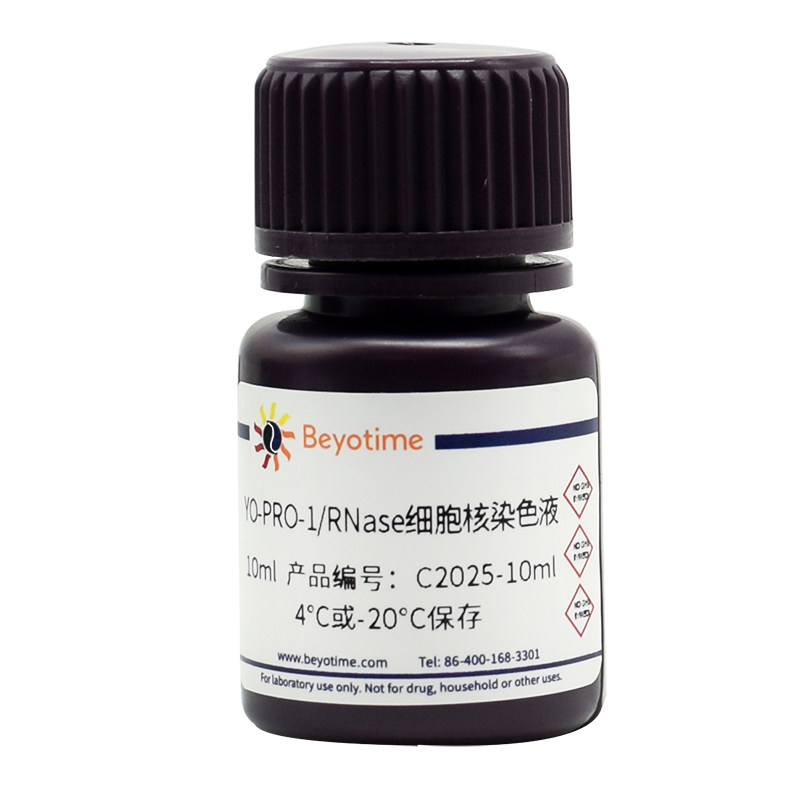 C2025-10ml YO-PRO-1/RNase细胞核染色液 碧云天