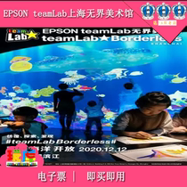 E-ticket (Buy and use)EPSON TeamLab Shanghai Unbounded Art Museum Ticket Network Red Light Exhibition