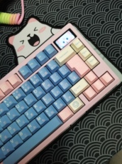 Вал wuque机械键盘客制化 小熊键盘垫