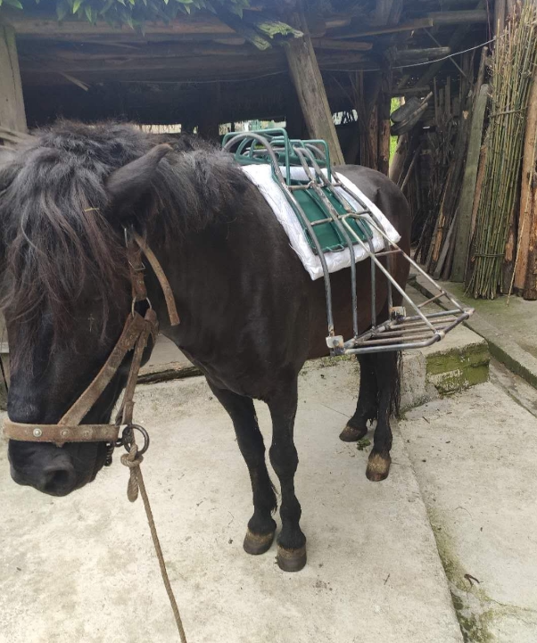Saddles Double racks Full saddle racks Integrated saddles Mountain transport horse equipment Full set of harnesses