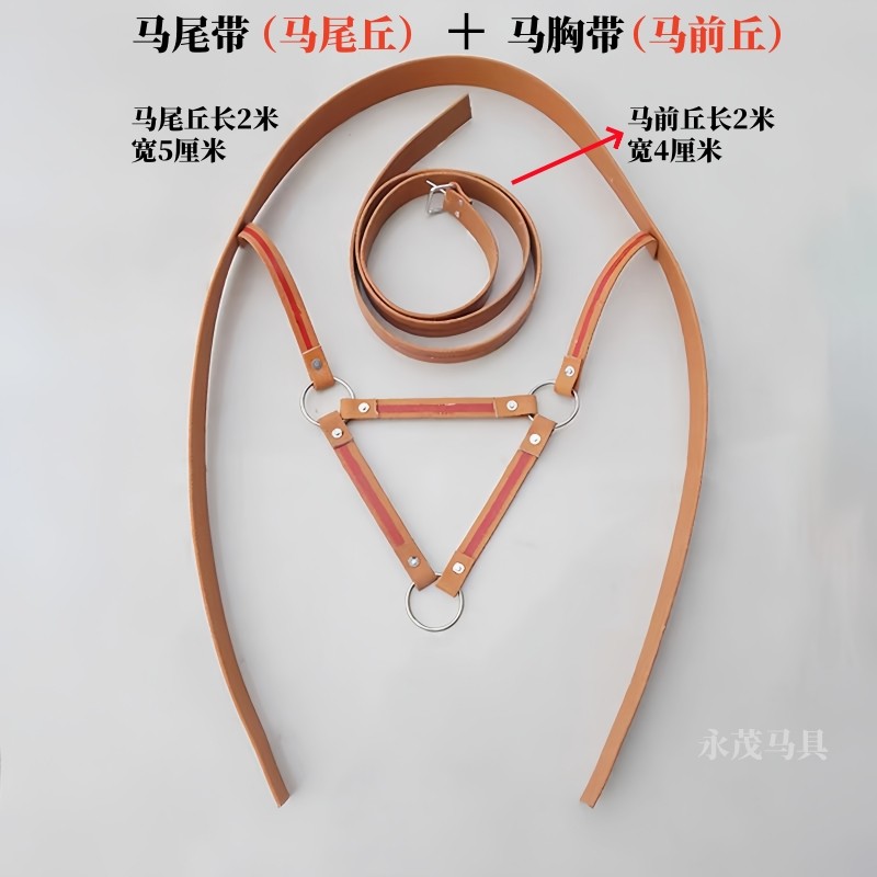马术小白必看!马具全套科普,马尾带、马鞍垫、马笼头一次搞定!🐎💨--淘宝好物网