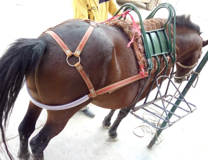 Horse cage head Horse dragon head Dragon set Horseback mat Saddle mat Horsetail root Horsetail belt Harness equipment