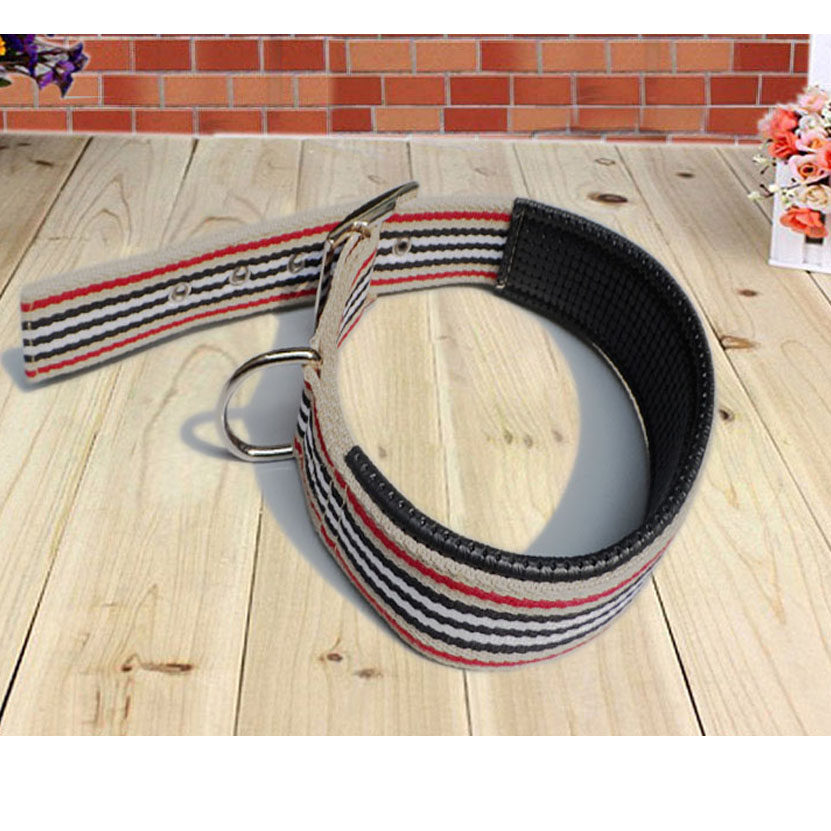 Large dog dog neckline neck ring neck ring small medium dog gold wool collar pet supplies Labrador neck ring dog chain