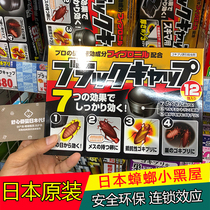 Japan imported Ansu Xiaoqiang cockroach House artifact cockroach medicine small black hat household kitchen small black house 12