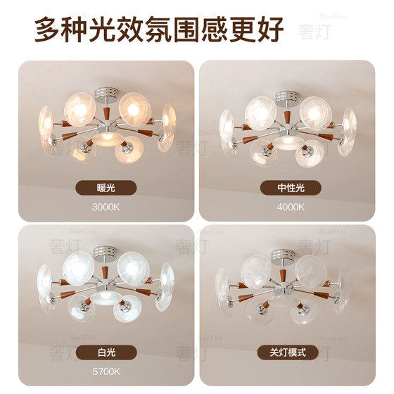 Sharedon Living Room Ceiling Lamp New Main Lamp French Medieval Atmospheric Bauhaus Full Spectrum Zhongshan Lamps