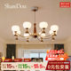 Sharedon Living Room Chandelier Bauhaus Mid-Century Style Main Light French Retro High-End Design New Lighting Fixtures