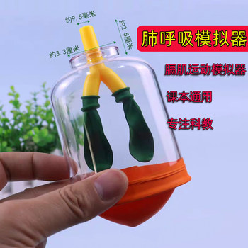Lung breathing model material package diaphragm motion simulator