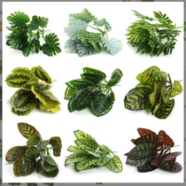 Simulation plant wall green planting wall matching material wall decoration emulation leaf Turtle back leaf peacock leaf lawn mowing plant