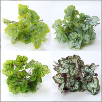 Simulation Plant Wall Green Planting Wall Accessories Vegetal Wall Green Tundra Herbaceous Grass Flower Arrangement Leaf leaves the beam Haitang leaf alum root leaves
