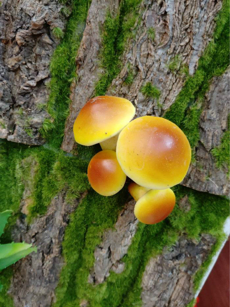 Simulation plant small mushroom moss microscape building landscape gardening insert pendulum piece multi-head foam mushroom simulation plant