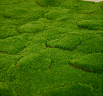 Simulation green plant wall green moss turf simulation lawn green plant scene window display display false Moss
