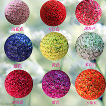 Send hook lanyard simulation flower ball encryption rose flower ball wedding silk flower decoration shopping mall plastic flower ball hanging decoration