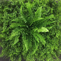 Persian grass Persian leaf plant simulation leaf silk flower simulation flower simulation plant simulation flower