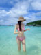 Swimsuit for women in hot springs 2024 bikini sexy pure desire retro slim three-dimensional high-end beautiful slimming island