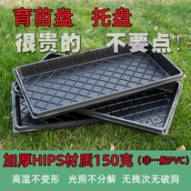 Thickened meaty sprouts cultivation incubator Plug plate multi-meat planting nursery tray plastic nutrient bowl tray
