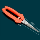 Фруктовые садовые инструменты Jinnong Essence Steel Shear