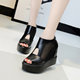 2025 spring and summer new inner heightening fish mouth shoes women's waterproof platform platform shoes summer shoes black mesh sandals