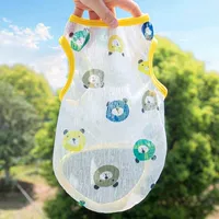 Маленький медведь Лиан Лиангии